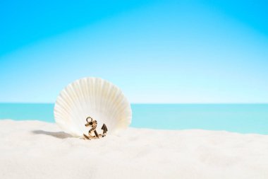 Minyatür çapa ile seashell kumlu bir plaj üzerinde