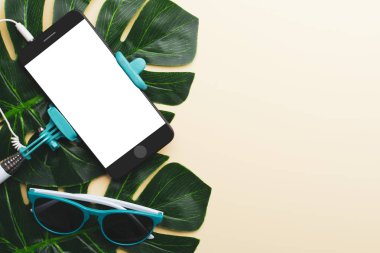 Aksesuarlar ve yeşil yaprakları yaz kompozisyonu