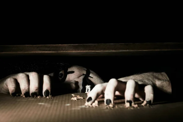 A terrible scary clown peeps out from under the basement lid. He scratches the floor with black claws. — Stock Photo, Image