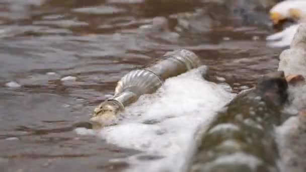 Contamination by non-degradable debris in the aquatic environment. Close-up of a glass bottle swinging on the waves off the coast of a pond. — Stock Video