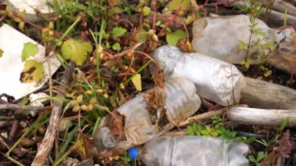 Műanyag környezetszennyezés. Műanyag palackok és egyéb nem lebomló hulladékok a fű között.
