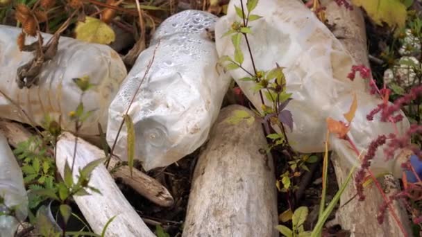 Plastic pollution of the environment. Plastic bottles and other non-degradable waste among grass. — Stock Video