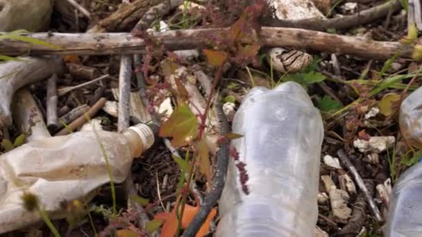 Plastic pollution of the environment. Plastic bottles and other non-degradable waste among grass. — Stockvideo