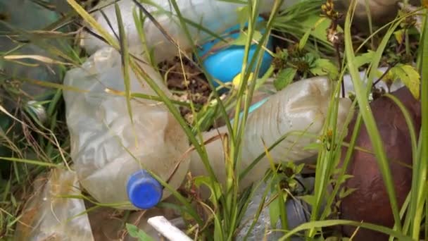 Plastic pollution of the environment. Plastic bottles and other non-degradable waste among grass. — Stock Video