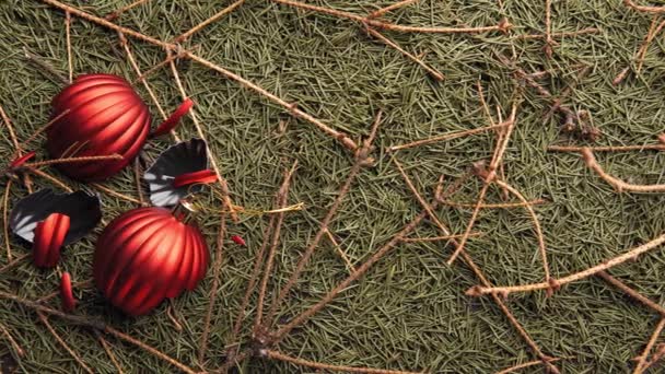 Bolas rojas rotas de Navidad yacen sobre agujas secas caídas y ramas de un árbol de Navidad . — Vídeos de Stock