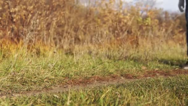 Ecologisch concept plastic vervuiling. Een onverantwoordelijke man in blauwe jeans gooit een plastic fles op het groene gras in het park. — Stockvideo