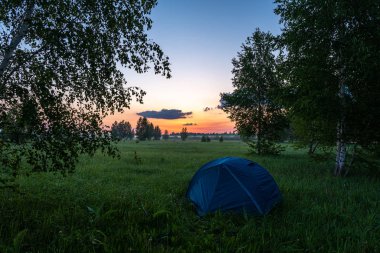Ormandaki bir açıklıkta mavi bir çadır. Kamp çadırı şafakta..
