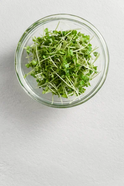 Brotes de rúcula de micro verdes frescos en un recipiente de vidrio sobre un fondo de hormigón gris claro . —  Fotos de Stock
