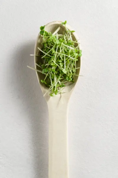 Brotes de rúcula de micro verdes frescos en una cuchara de madera sobre un fondo de hormigón gris claro . —  Fotos de Stock