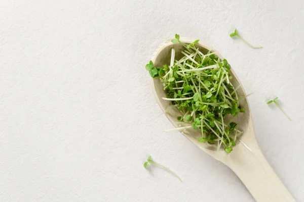 Micro greens frescos en una cuchara de madera sobre un fondo de hormigón gris claro . —  Fotos de Stock