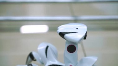 Almetyevsk, Rusya - 18 Ocak 2020: Robotların Sergilenmesi.