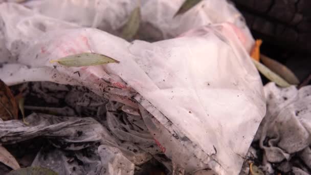 A természet műanyagszennyezése. Műanyag zacskók és sárga levelek a füvön. — Stock videók