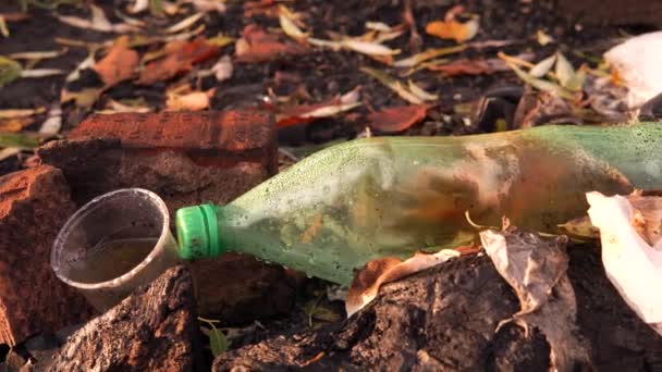 Plastikverschmutzung der Natur. Plastikflasche und Glas auf dem Rasen. — Stockvideo