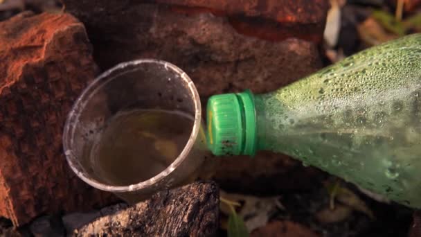 Contaminación plástica de la naturaleza. Botella de plástico y vidrio en la hierba . — Vídeos de Stock