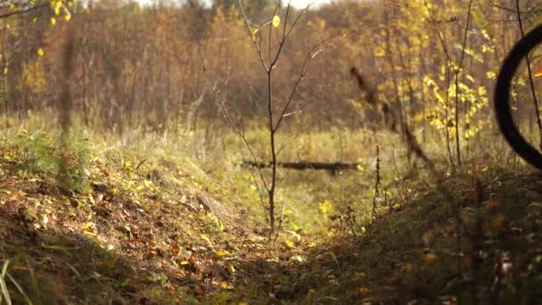 Junger Mann mit Fahrrad im Herbstwald. — Stockvideo