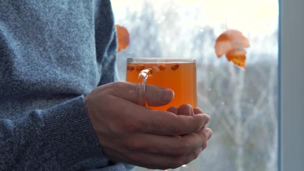 Gros plan mains masculines tenant une tasse de thé à l'argousier. — Video