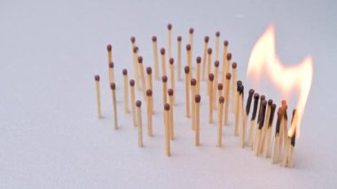 Gri arkaplandaki tüm kibritler yanmış. Coronavirüs 'ün yayılmasını durdurma kavramı. Sosyal mesafeyi koru.