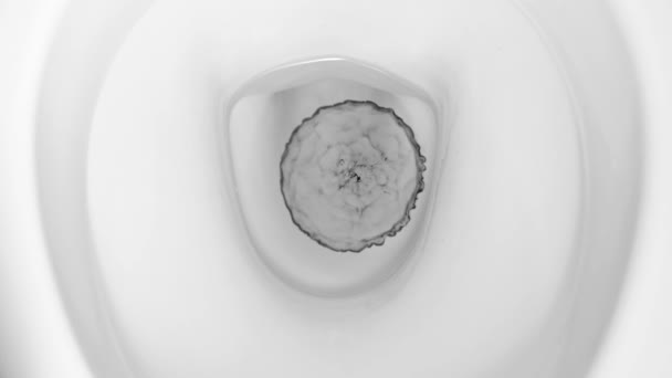 Una goccia di inchiostro nero gocciola nell'acqua della toilette . — Video Stock