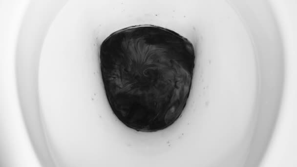 Svart smutsigt vatten spolas i toaletten. — Stockvideo