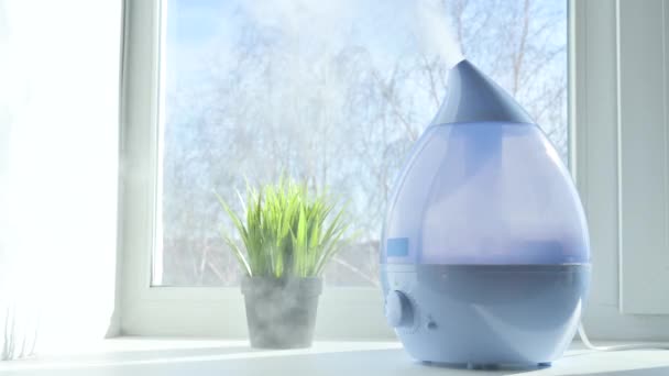 An ultrasonic humidifier on the windowsill sprays water vapor. — Stock Video