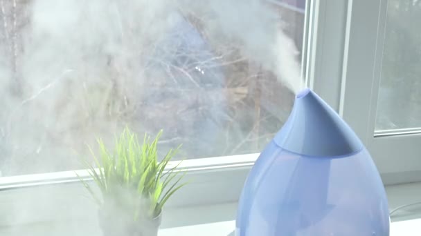 Un humidificateur à ultrasons sur le rebord de la fenêtre pulvérise de la vapeur d'eau . — Video