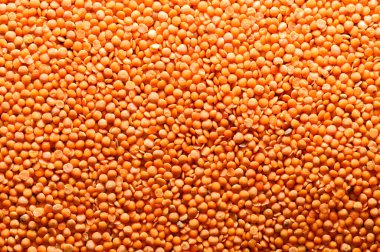 Sebze proteininin kaynağı. Mercimek dokusu.