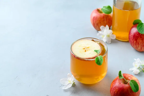 Kombucha fermenté maison ou cidre dans un verre avec une tranche de pomme fraîche sur une table en pierre gris clair . — Photo