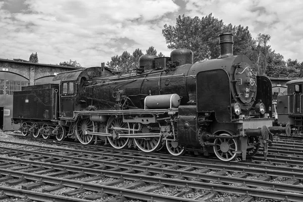 Desfile de locomotoras de vapor — Foto de Stock