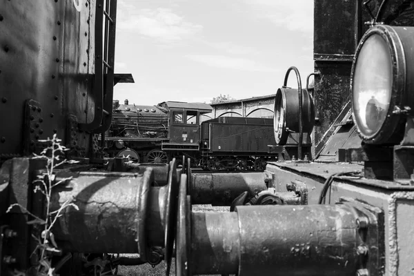 Parade of steam locomotives — Stock Photo, Image