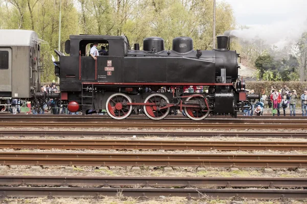Sfilata di locomotive a vapore — Foto Stock