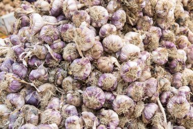 Markette taze sarımsak