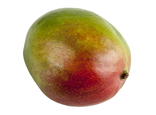 白い背景の上の新鮮なマンゴー — ストック写真
