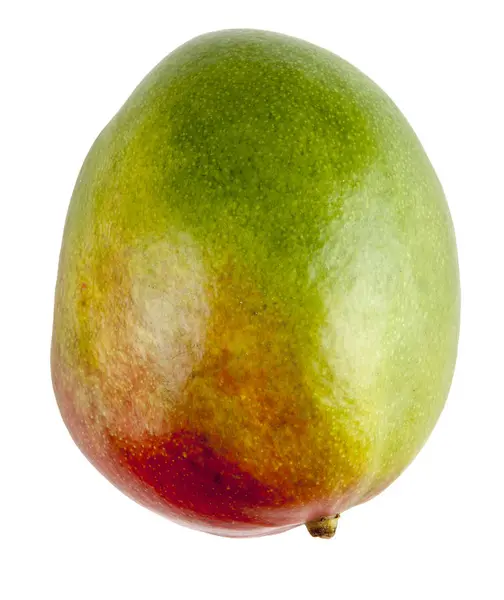 Свежий манго на белом фоне — стоковое фото