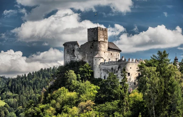 Замок в Недзице — стоковое фото