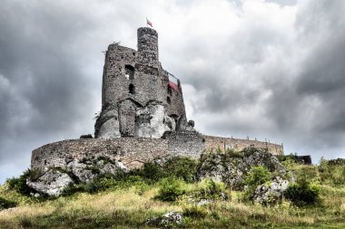 Mirowiec kale Polonya