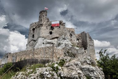 Mirowiec kale Polonya