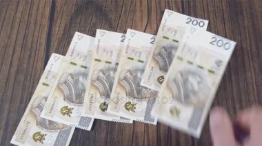Para sayma. En düşük PLN Zlotisi Lehçe