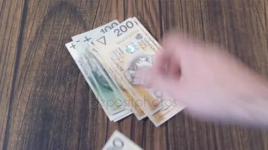Para sayma. En düşük PLN Zlotisi Lehçe