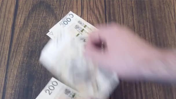 Contando dinero. Zloty PLN polaco — Vídeos de Stock