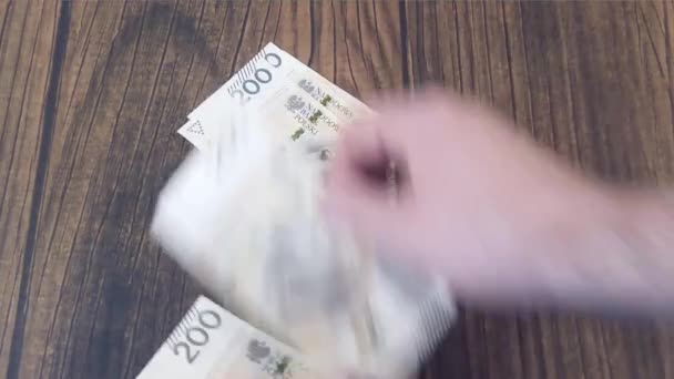 Liczenie pieniędzy. Pln Złoty polski — Wideo stockowe