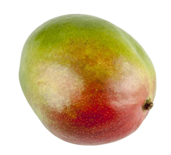 白い背景の上の新鮮なマンゴー — ストック写真