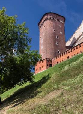 Polonya Wawel Castle. Polonya'nın ilk başkenti Cracow.