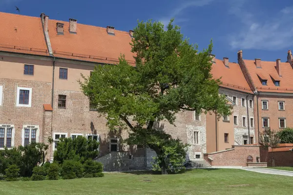 Polonya Wawel Castle. Polonya'nın ilk başkenti Cracow.