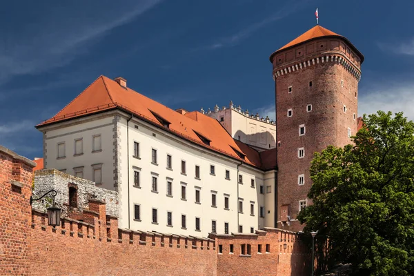 Wawel Castle Poland Cracow First Capital Poland — Stock Photo, Image