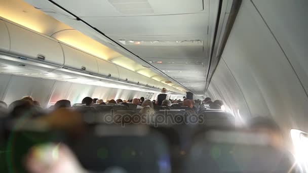De stewardess doorloopt in de cabine — Stockvideo