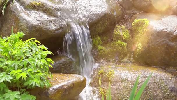 Un mic pârâu limpede care curge peste pietre pietruite — Videoclip de stoc