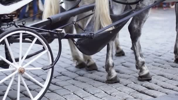 White carriage and wheels with wooden rim — Stock Video