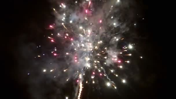 Belle vidéo de feux d'artifice dans la journée de célébration, boucle — Video