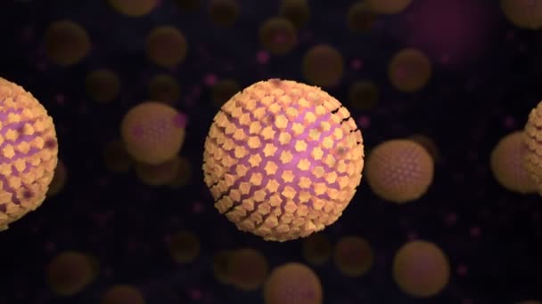 3d coronavirus cells inside hosts body — Wideo stockowe