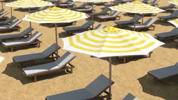 Chaises de plage et parasols en bois vides sur sable — Video